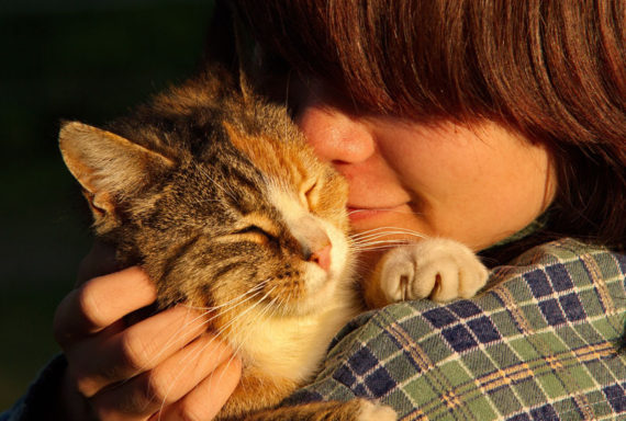 Special care on Your Lovely Pets by Veterinary physician