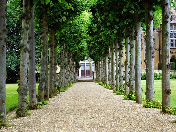 Pathways 11
