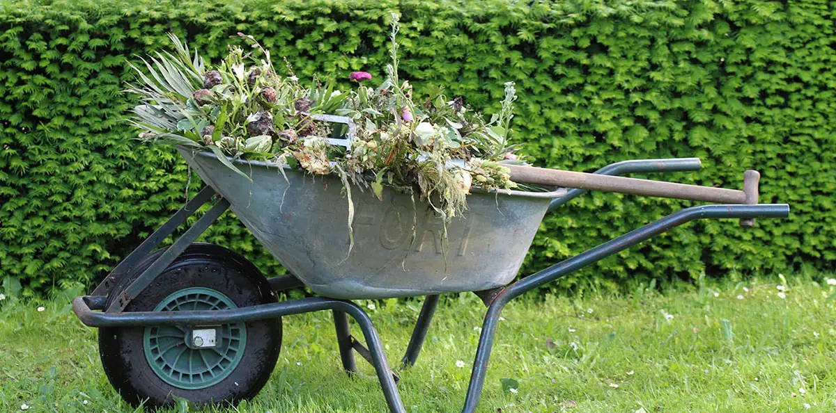 We care for you garden & landscape